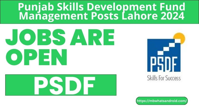 Punjab Skills Development Fund Jobs