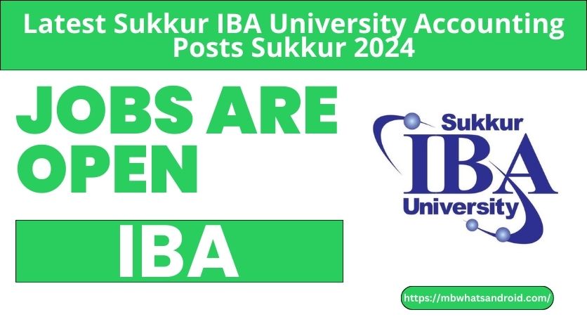 IBA University Accounting Jobs 2024