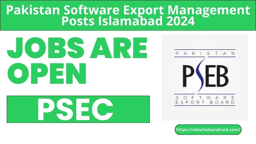 Pakistan Software Export Jobs