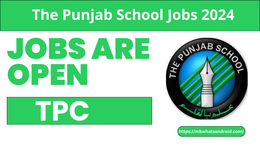 The Punjab School Jobs 2024