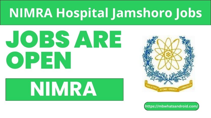 NIMRA Hospital Jamshoro Jobs