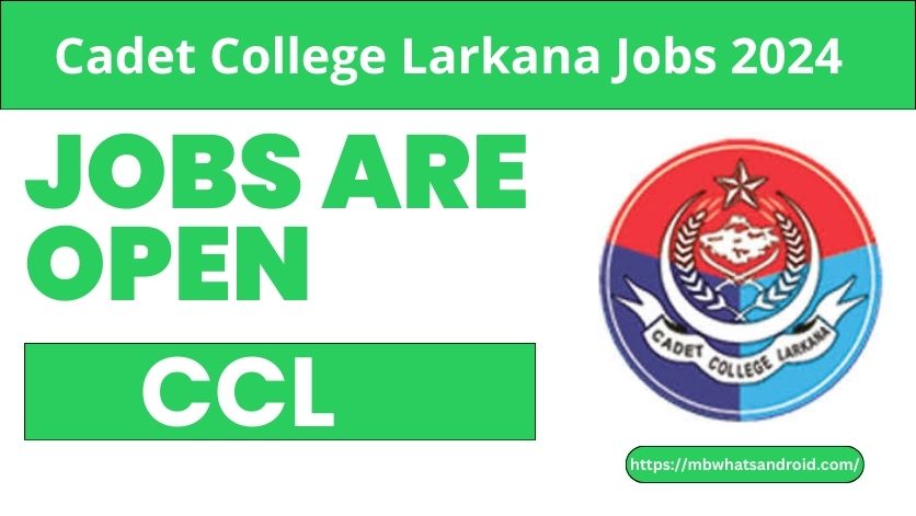 Cadet College Larkana Jobs 2024