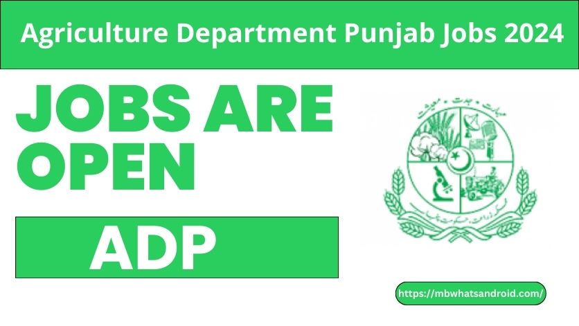 Agriculture Department Punjab Jobs 2024