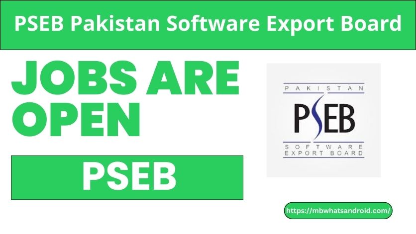 Latest Pakistan Software Export Board Jobs 2024