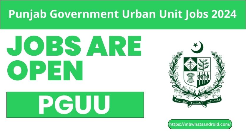 Punjab Government Urban Unit Jobs 2024