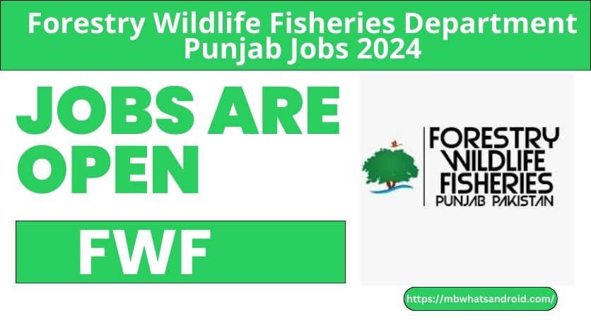 Forestry Wildlife Fisheries Department Punjab Jobs 2024