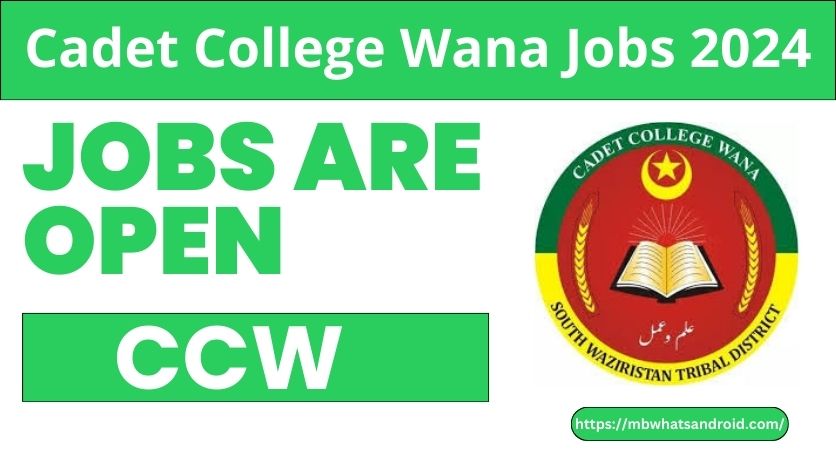 Cadet College Wana Jobs 2024