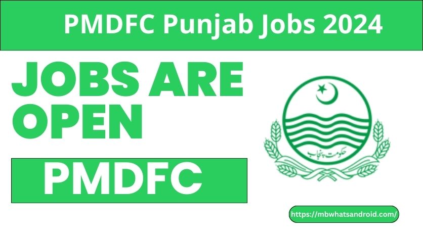 PMDFC Punjab Jobs 2024